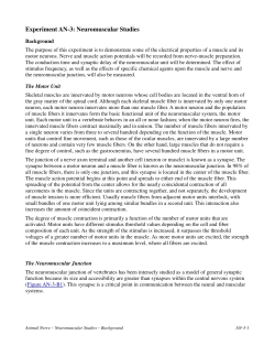 Neuromuscular Studies