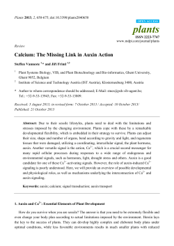 Full-Text PDF