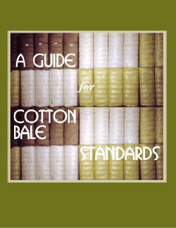 Guide for Cotton Bale Standards