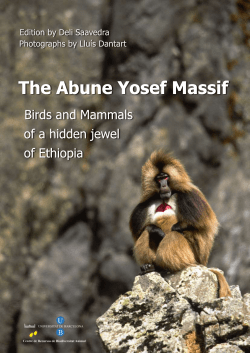 Birds and Mammals of a Hidden Jewel of Ethiopia