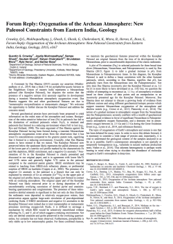 Forum Reply: Oxygenation of the Archean Atmosphere: New Paleosol