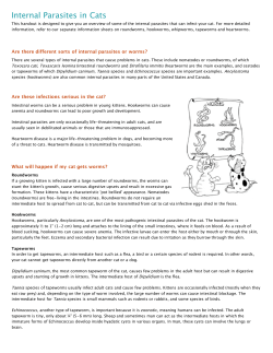 Intestinal Parasites - Weston Veterinary Clinic