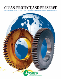 CLEAN, PROTECT, ANd PRESERVE