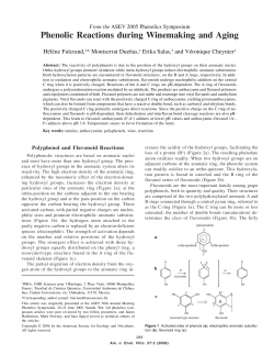 Phenolic Reactions during Winemaking and Aging