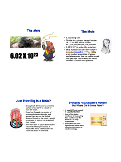 The Mole