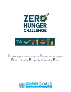 Zero Hunger Challenge brochure