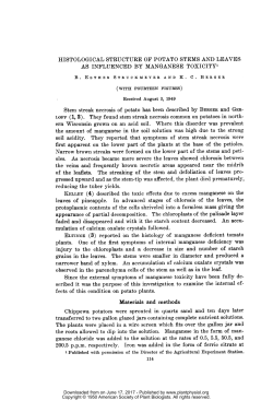 HISTOLOGICAL STRUCTURE OF POTATO STEMS AND LEAVES
