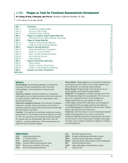 Phages as Tools for Functional Nanomaterials Development