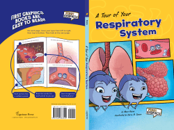 A Tour of Your Respiratory System