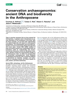 Conservation archaeogenomics: ancient DNA