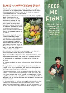 Plants - manufacturing sugar