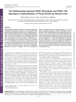 The Relationship between PON1 Phenotype and PON1