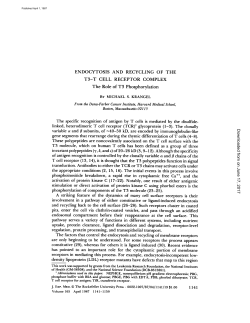 ENDOCYTOSIS AND RECYCLING OF THE T3-T CELL