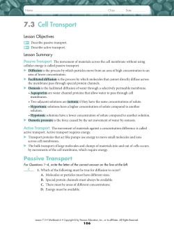 7.3 Cell Transport