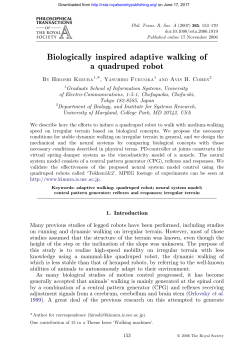 Biologically inspired adaptive walking of a quadruped robot