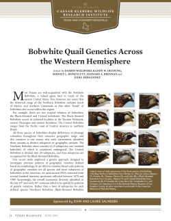 Bobwhite Quail Genetics Across the Western Hemisphere