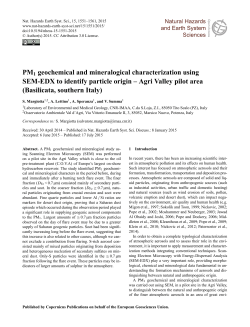 PM1 geochemical and mineralogical characterization