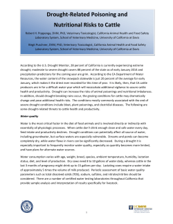 Drought-Related Poisoning and Nutritional Risks to Cattle