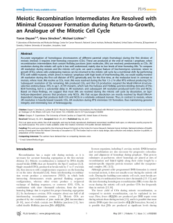 Meiotic Recombination Intermediates Are Resolved with Minimal