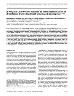 b-Amylase&ndash;Like Proteins Function as Transcription