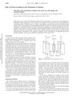 Role of Proton Gradients in the Mechanism of Osmosis