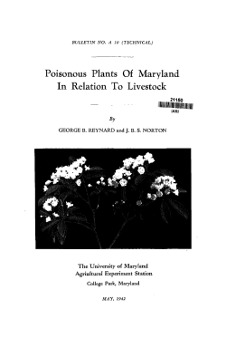 Poisonous Plants Of Maryland In Relation To Livestock
