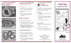 Trail Tips - Larimer.org