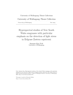 Hyperspectral studies of New South Wales