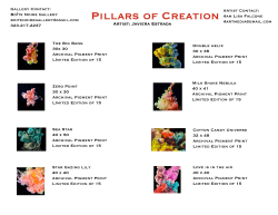 Double helix 30 x 38 Archival Pigment Print Limited Edition of 15