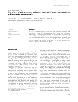 The effect of pathogens on selection against deleterious mutations