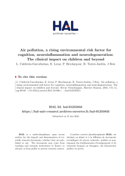 Air pollution, a rising environmental risk factor for cognition