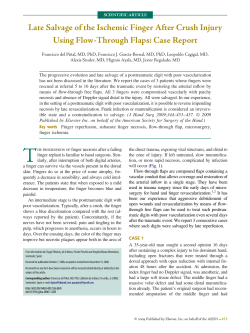 Late Salvage of the Ischemic Finger After Crush Injury Using Flow