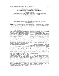 A preliminary survey of the genus Buchwaldoboletus