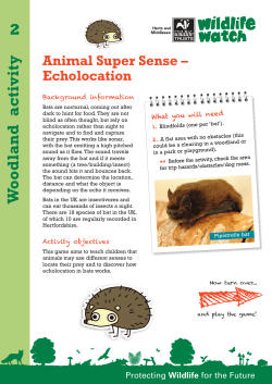 Animal Super Sense: Echolocation - Herts and Middlesex Wildlife