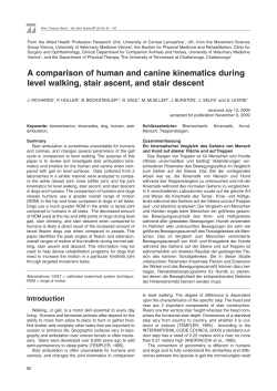 A comparison of human and canine kinematics during level walking