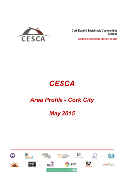 Area Profile - Cork City May 2015