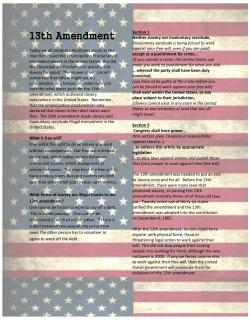 13th Amendment - Mr. Furg Home