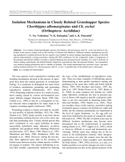 Isolation Mechanisms in Closely Related Grasshopper Species