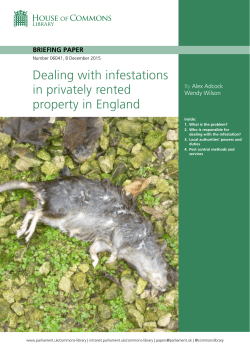 Dealing with infestations in privately rented property