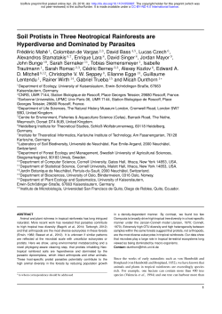 Soil Protists in Three Neotropical Rainforests are Hyperdiverse and