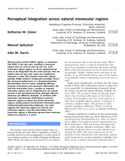 Perceptual integration across natural monocular regions