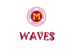 TRANSVERSE WAVE (CHANGE IN POSITION)