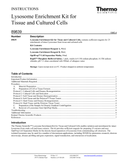 Lysosome Enrichment Kit for Tissue and Cultured Cells