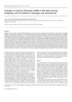Changes in Oxytocin Receptor mRNA in Rat Brain During