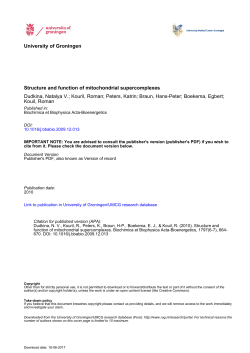 Structure and function of mitochondrial supercomplexes Dudkina