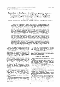 Separation of Alcaligenes denitrzJicans sp. nov., nom. rev. from