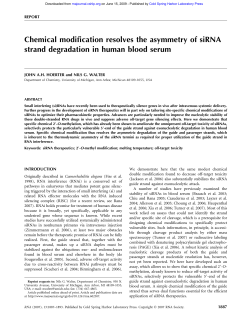 Chemical modification resolves the asymmetry of siRNA strand