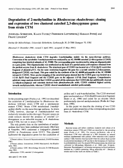 Degradation of 2-methylaniline in Rhodococcus