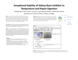 Exceptional Stability of Kidney Bean Inhibitor to
