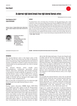 An aberrant right lateral branch from right internal thoracic artery